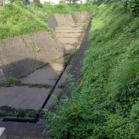 貯水池 近く 家|調整池・公園の周辺に住んでいる方、ご意見をお聞かせください。